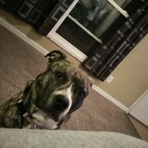 Meet your Posher, Mandy